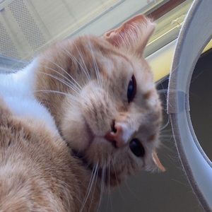 Meet your Posher, Gianna